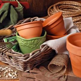 cat_pots9