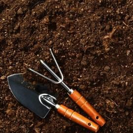 cat_soil
