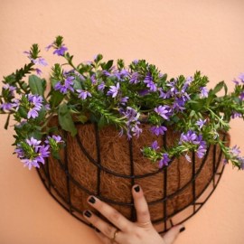 hanging_pot_kokos_half26